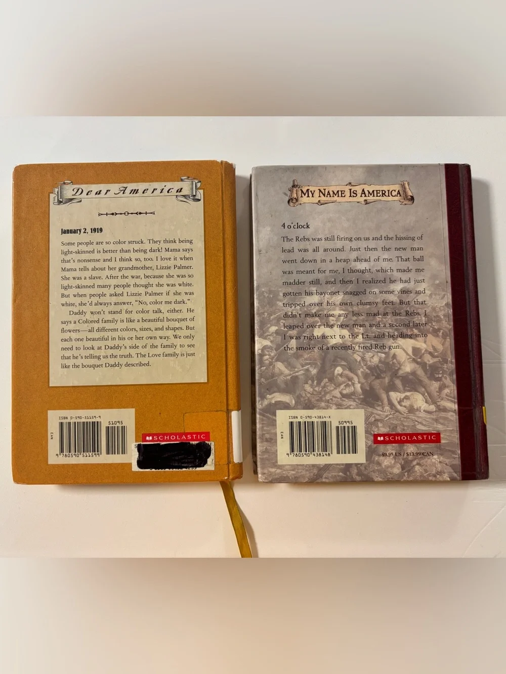 Dear America Book Series Young Adult Reading Bundle of 2 Books